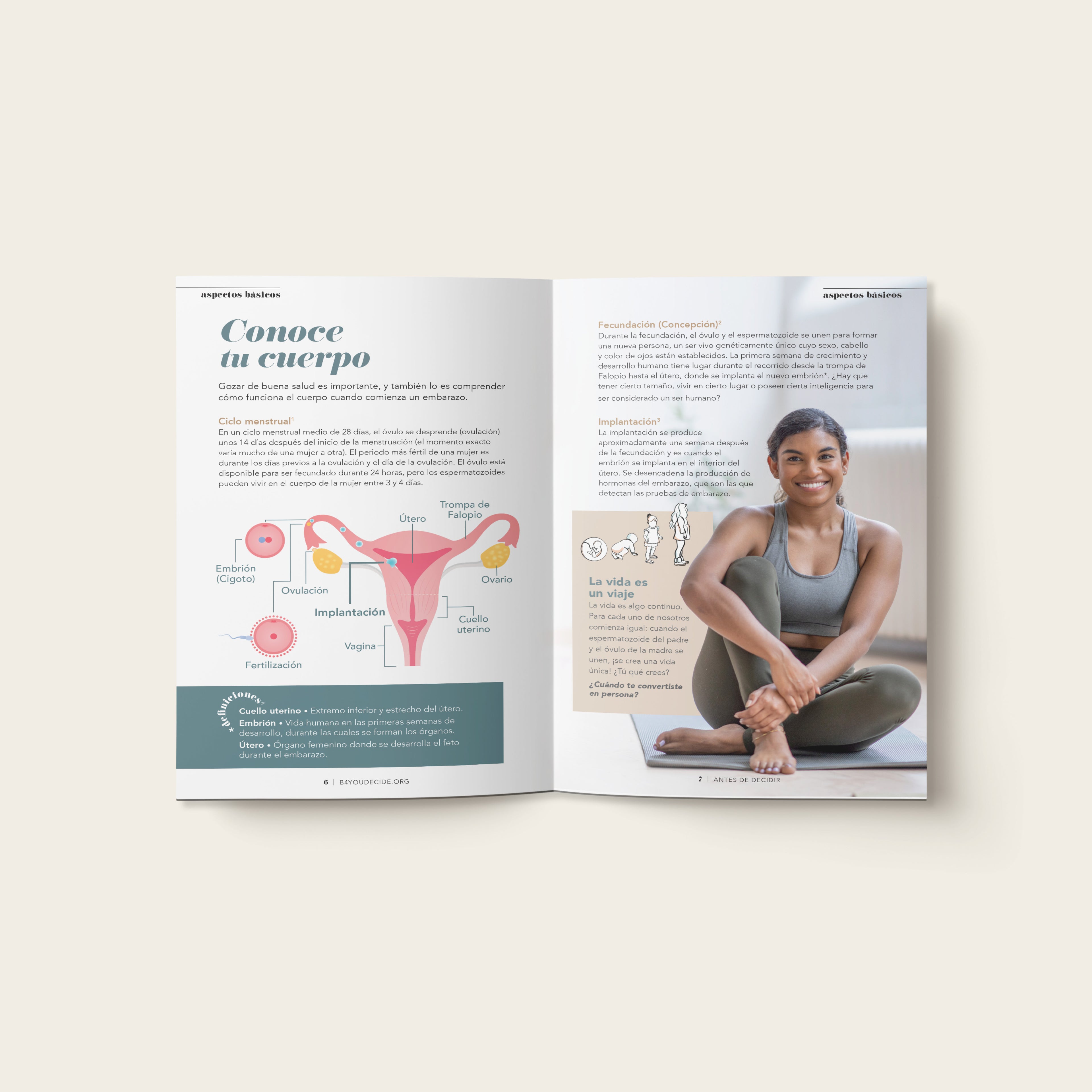 Spanish Before You Decide Brochure: Digital 1-Year Subscription