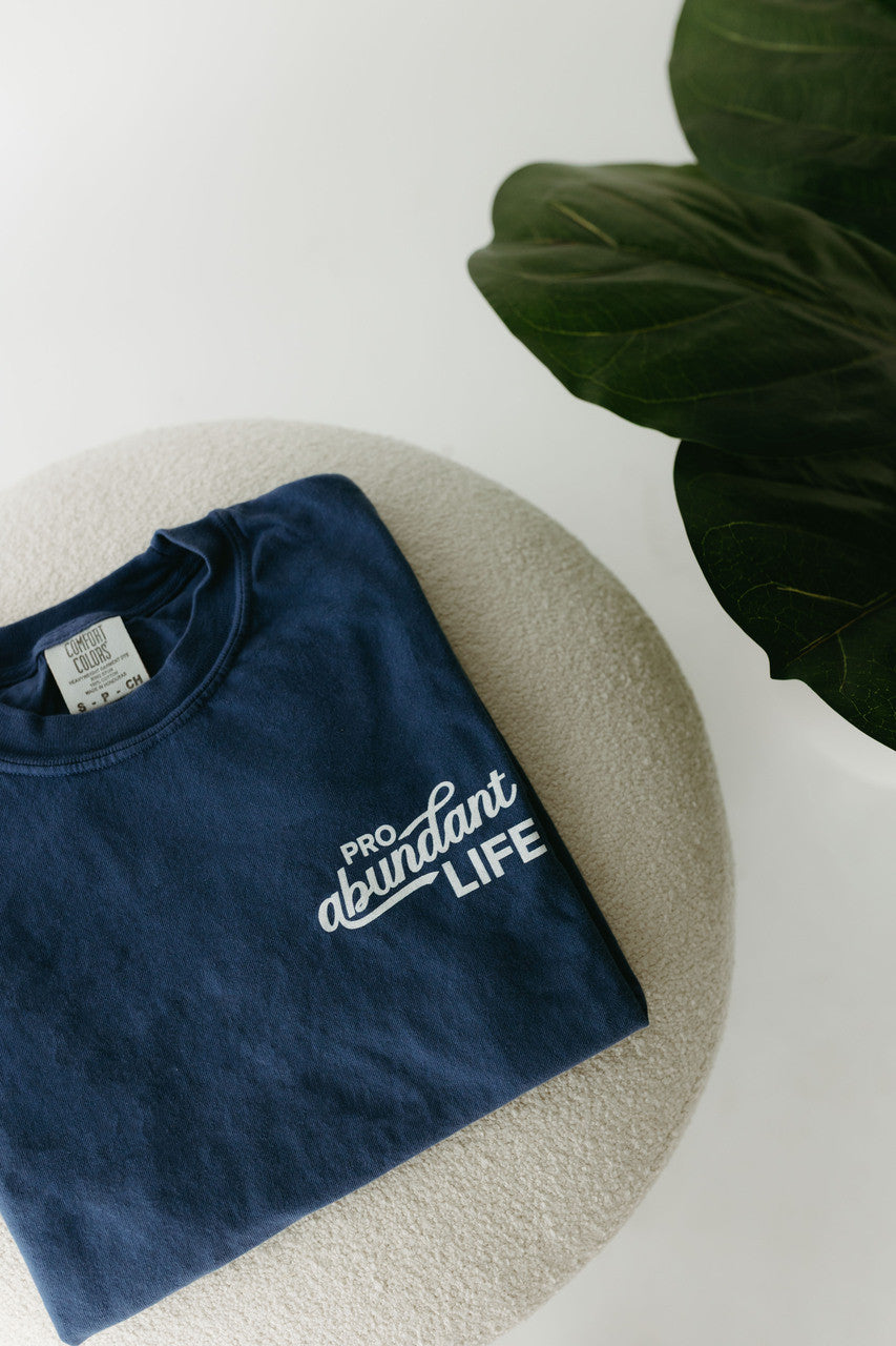 Navy Pro Abundant Life T-Shirt