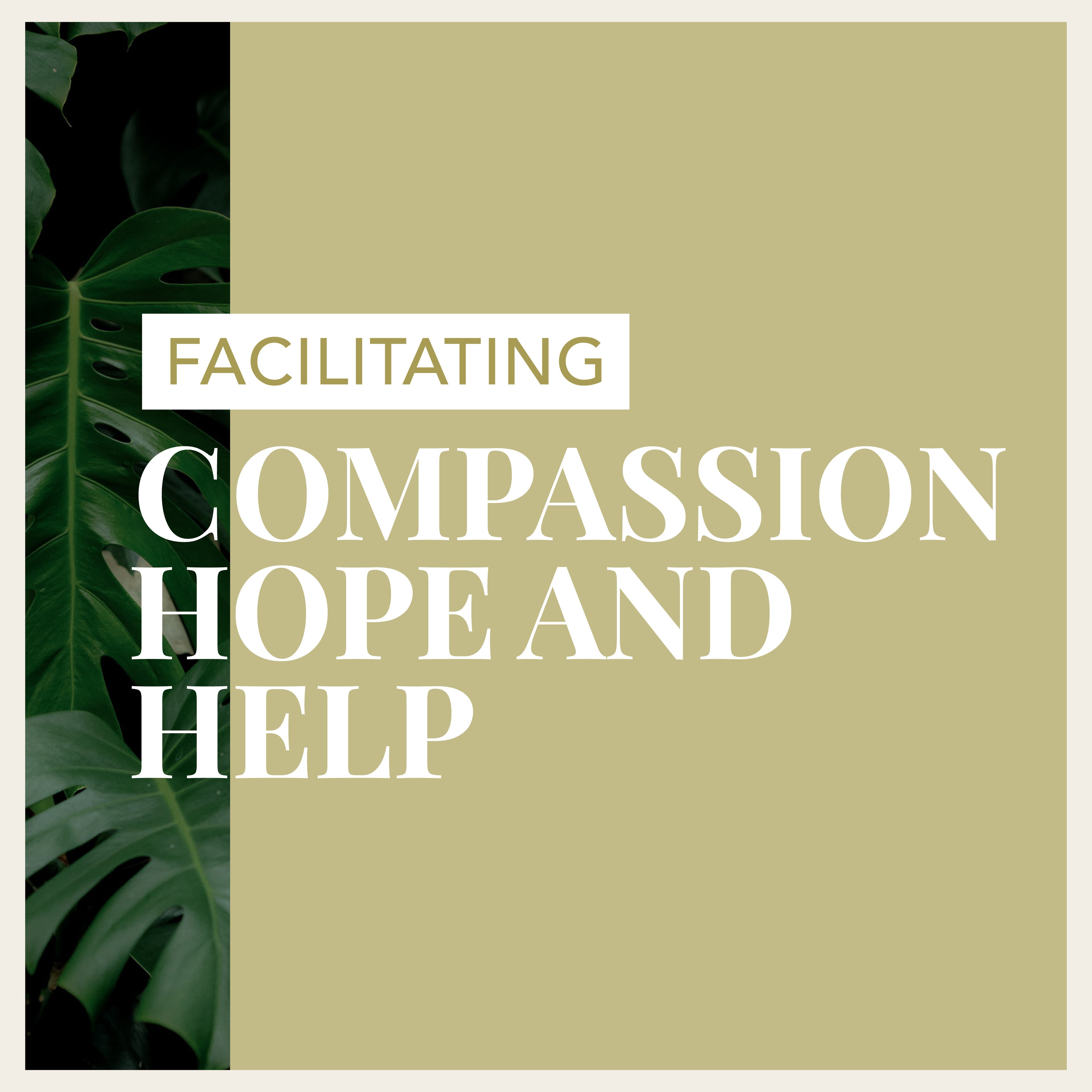 Facilitating Compassion, Hope, and Help Online (FCHH)