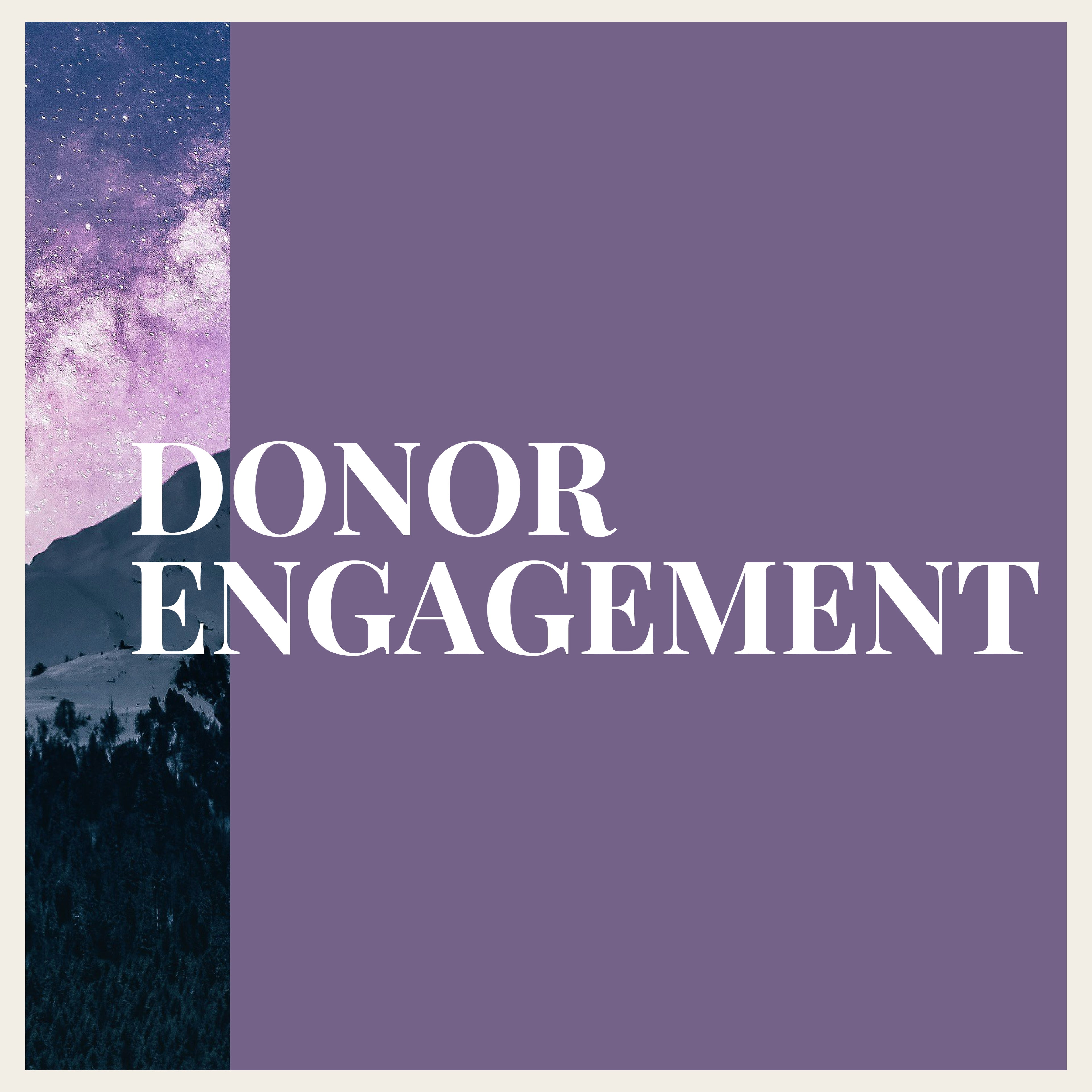 Donor Engagment