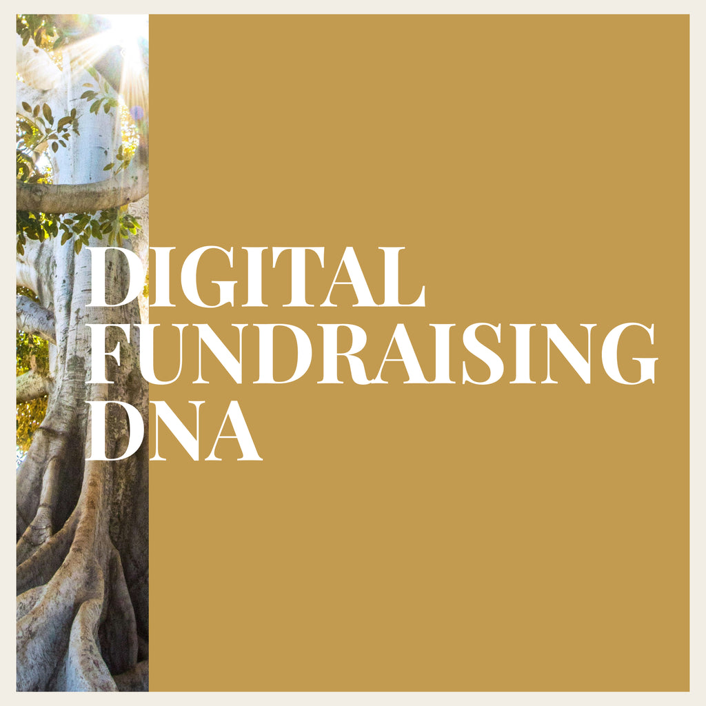 Digital Fundraising DNA
