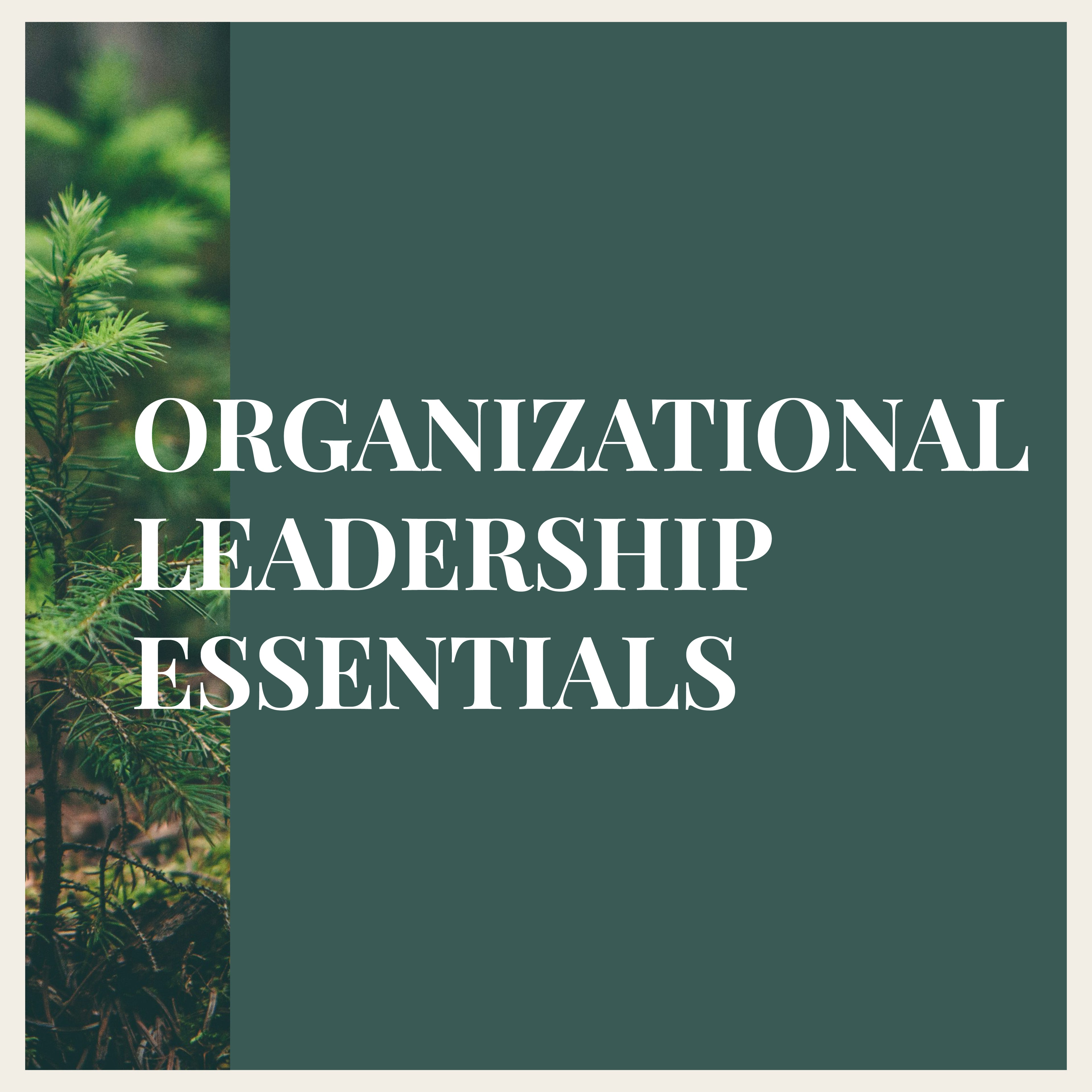 Organizational Leadership Essentials (OLE)