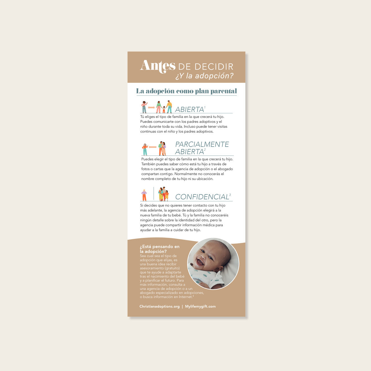 Spanish Adoption Tip Card (Pack of 50)