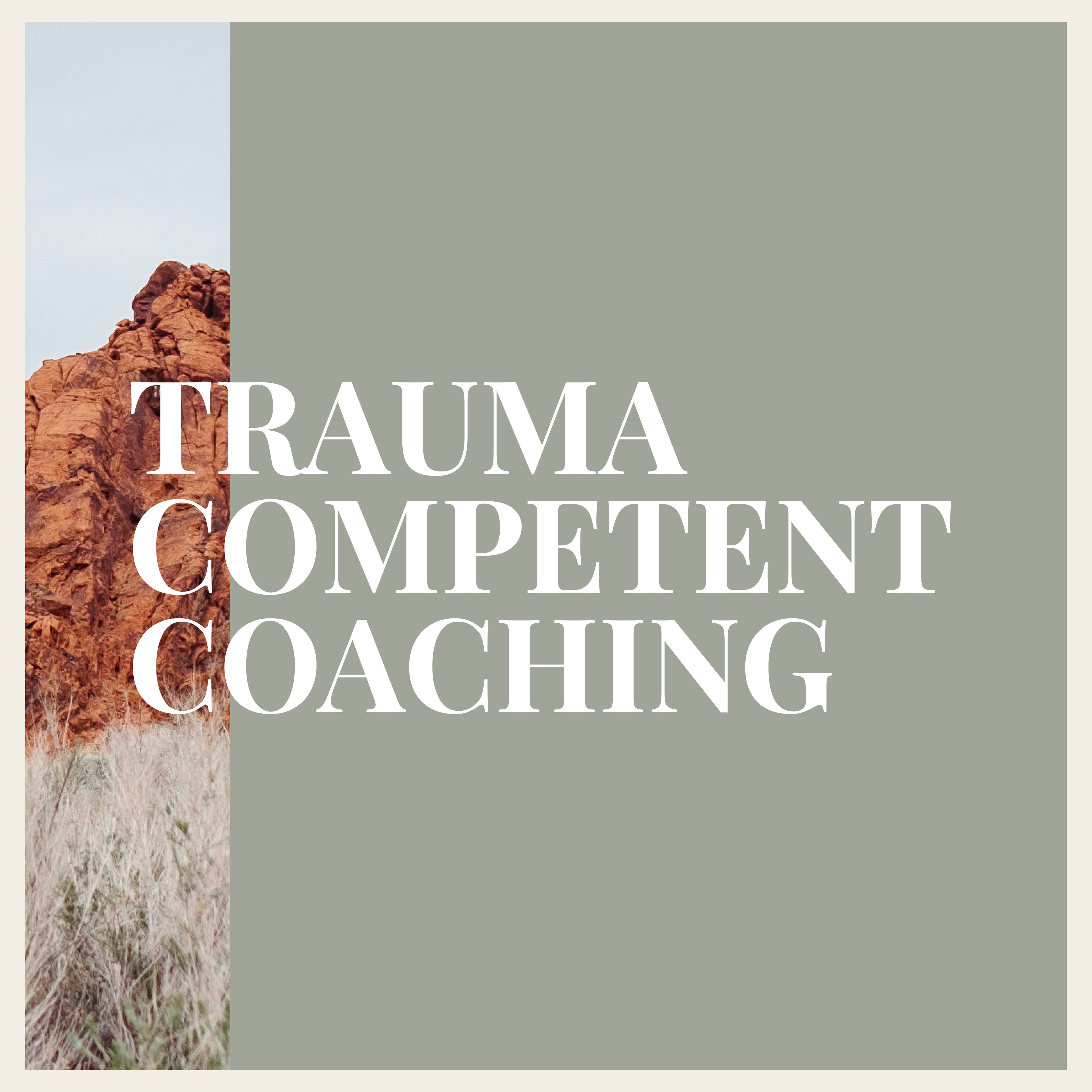Trauma Competent Coaching Group Seats